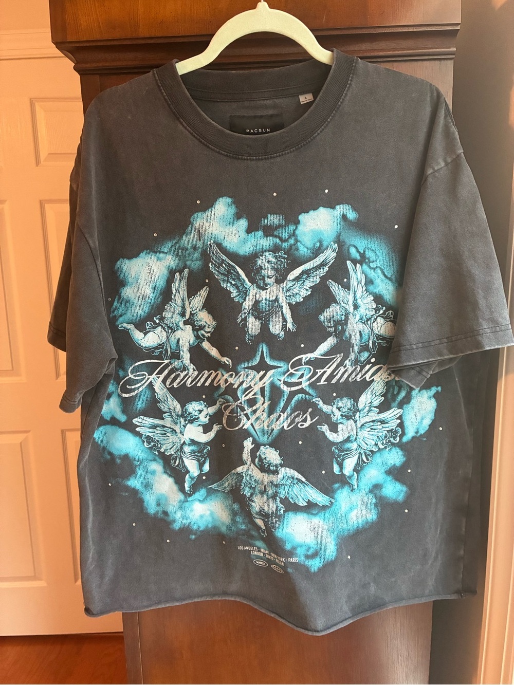 PacSun Harmony Amidst Chaos Cherub Graphic Oversized Tee - Size Large - Picture 5 of 12